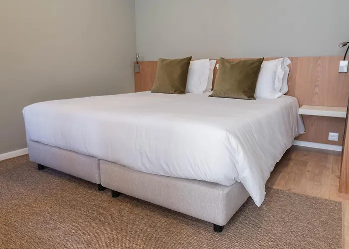 Geonature Daire Macedo de Cavaleiros